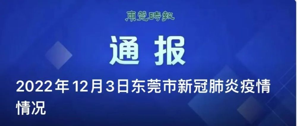 新嘉拓最新招聘职位解析与招聘动态速递