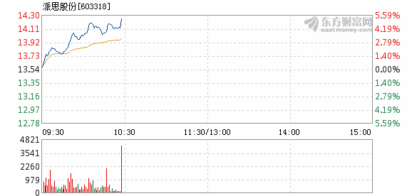 派思股份股票最新消息全面解析与动态更新