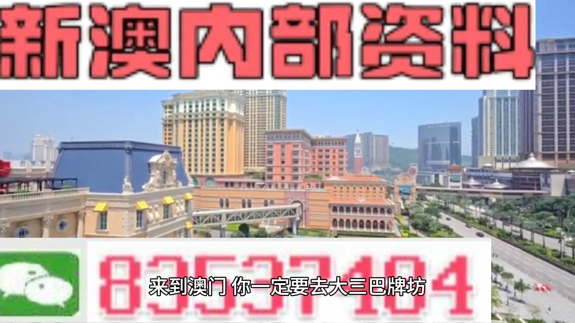 树苗 第247页