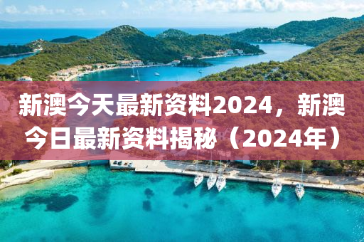 新澳2024年精准资料期期，快速解答设计解析_专属版73.8.80