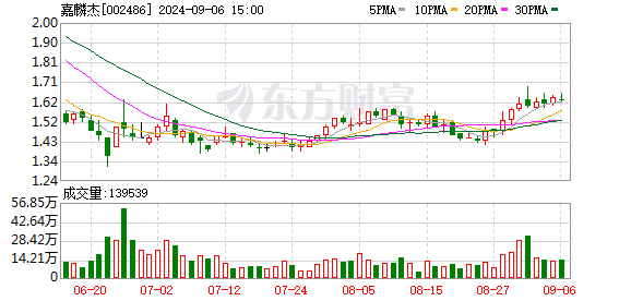 嘉麟杰最新动态深度解析，企业进展与行业趋势分析