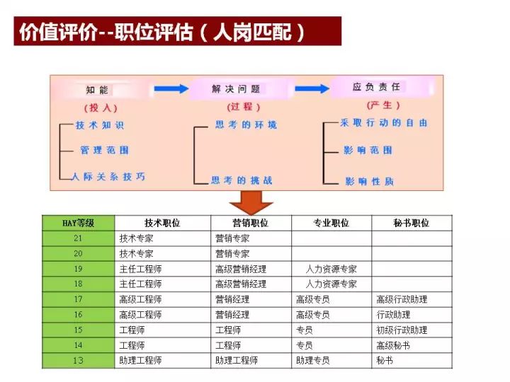 澳门最准一码一肖一特，效率资料解释落实_战略版41.28.95