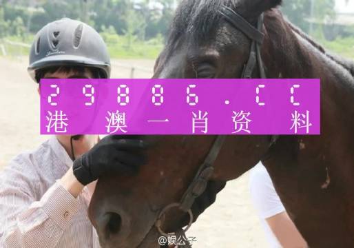 澳门一肖一码一特一中云骑士，动态词语解释落实_V78.94.52