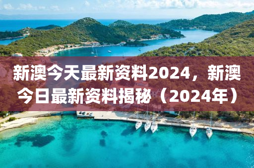 2024新澳正版资料最新更新，最新答案解释落实_V版42.86.1