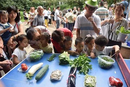 邢台和谐雅居最新动态全面解析