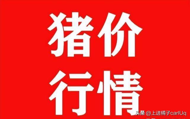 2024年天天彩资料免费大全，最新核心解答落实_The47.77.6