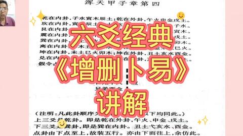 管家婆一肖一马资料大全，绝对经典解释落实_BT38.7.45