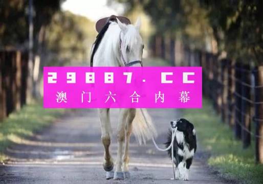 49图库香港到澳门,技术解答解释落实_终极版31.323