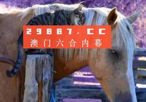 2024澳门资料正版大全,性质解答解释落实_潮流版76.678