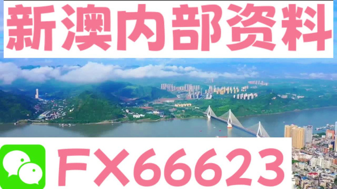 新澳精准资料,决策资料解释落实_复刻版29.803