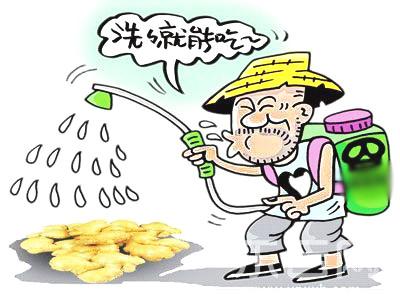 探究防腐木进货厂家，品质、服务与选择智慧之选