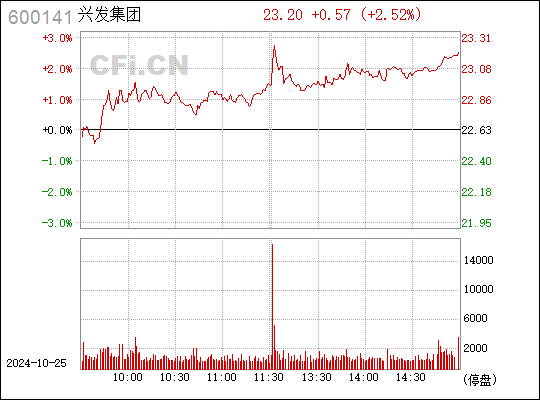 兴发集团股票最新消息全面解析与动态更新