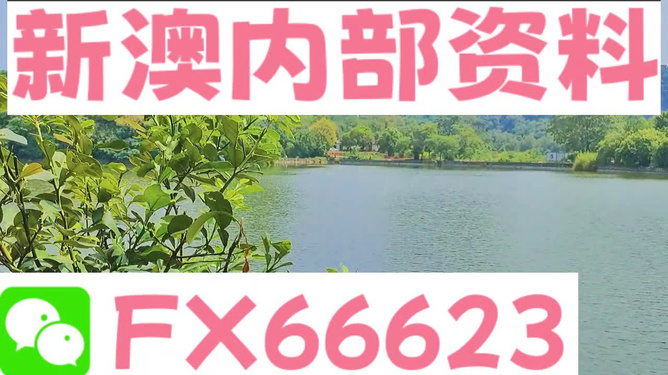 新澳精准资料免费提供网站有哪些,经典解释落实_Android256.184