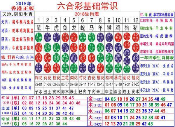 澳门正版资料大全资料生肖卡,重要性解释落实方法_试用版7.246