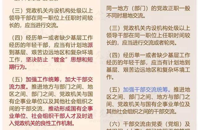 百家号一码一肖一特一中,决策资料解释落实_游戏版256.183