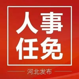 河北省政府最新任免公告，推动发展新篇章开启