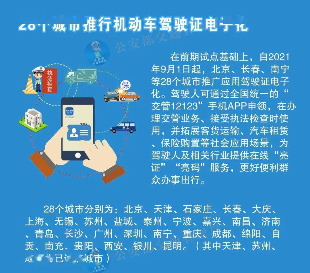 2024澳门天天开好彩大全第65期,决策资料解释落实_win305.210