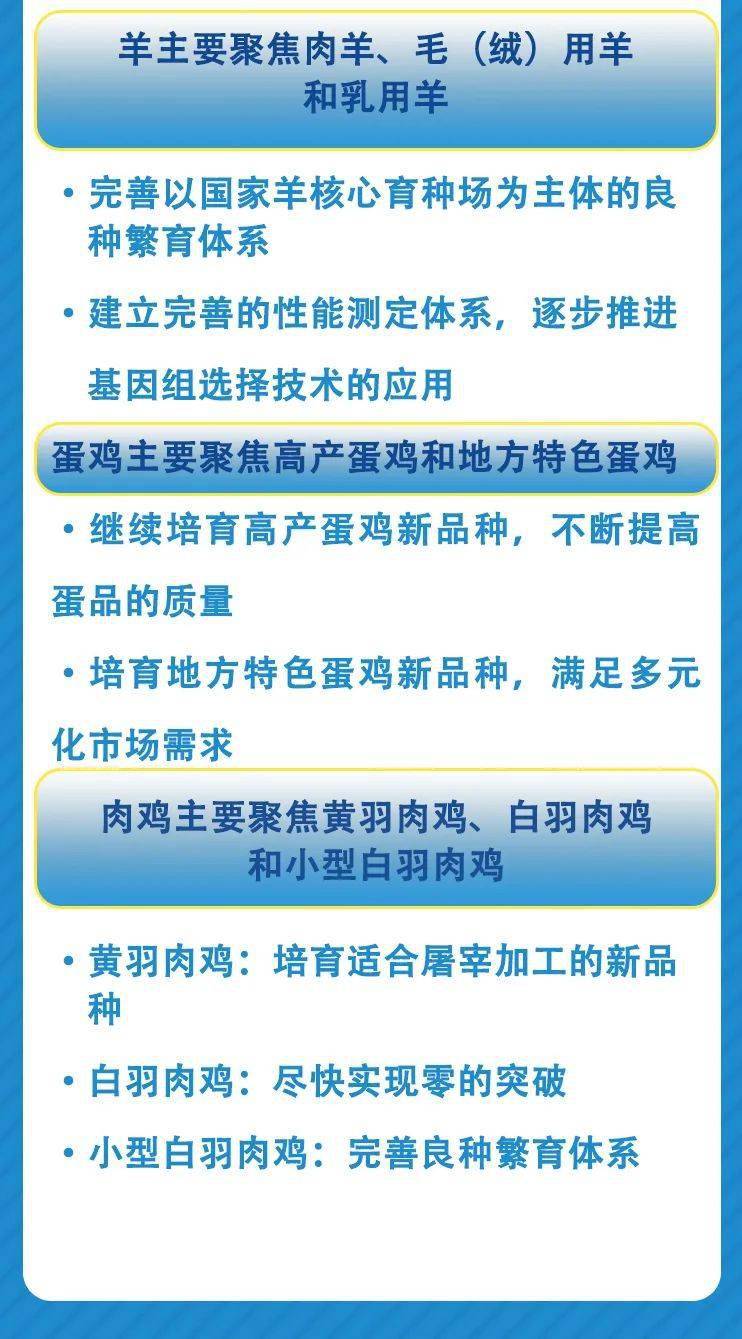 ′管家婆三肖三码,广泛的解释落实支持计划_户外版2.632