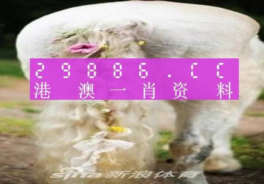 赛玄穆 第2页