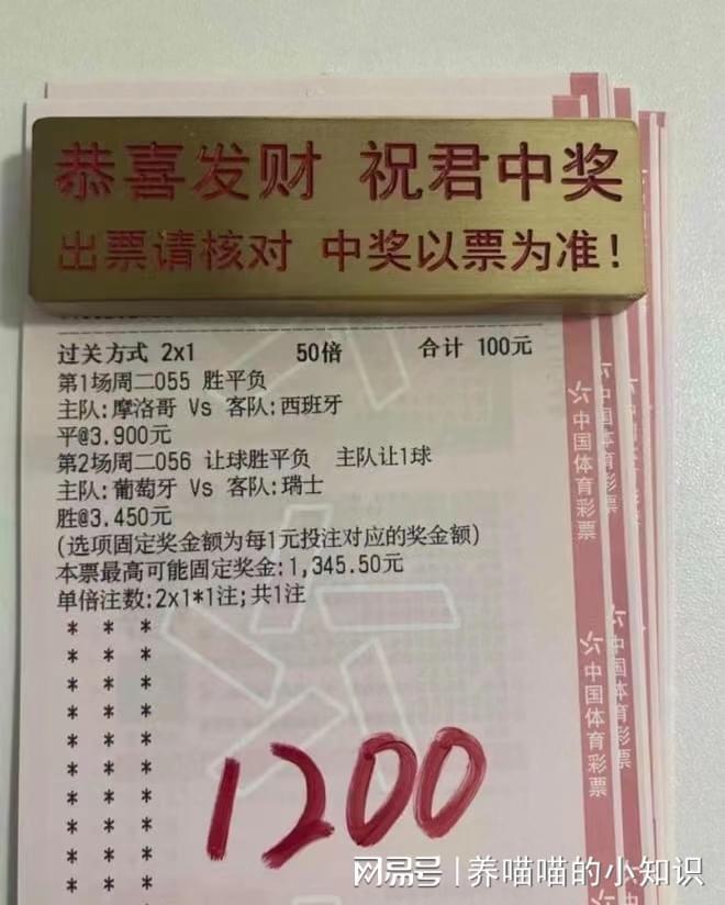 澳门彩管家婆一句话,高效实施方法解析_标准版90.65.32