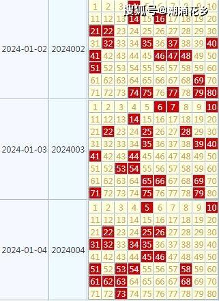 2024年新澳门夭夭好彩,全面理解执行计划_豪华版180.300