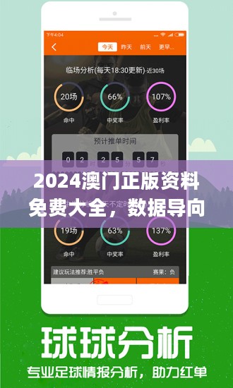 2024年澳门精准正版四不像网,功能性操作方案制定_HD38.32.12