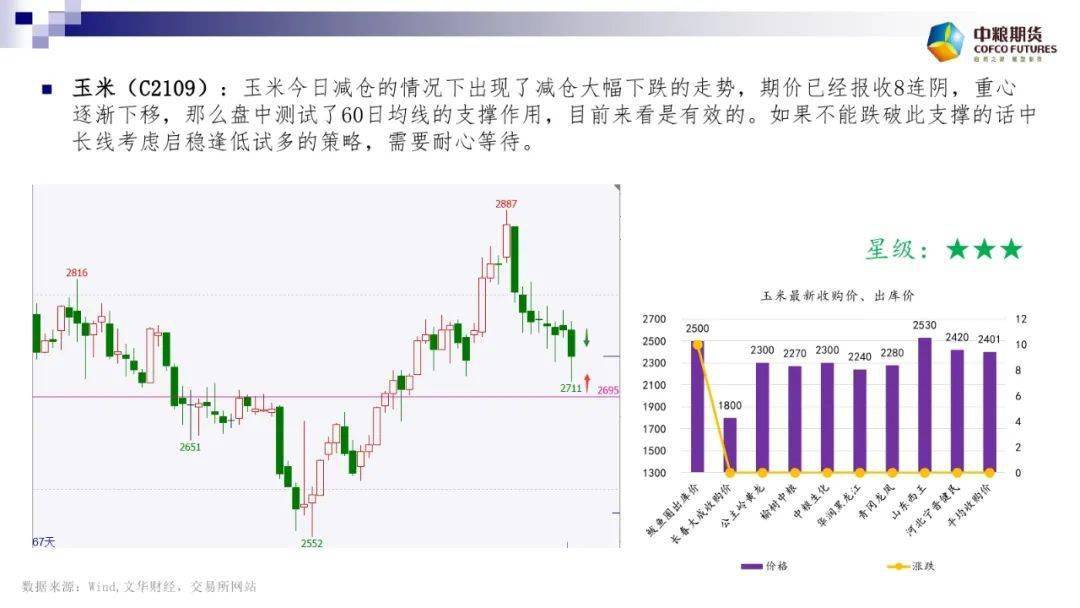 2024新澳门正版免费,重要性解释落实方法_特别版2.336