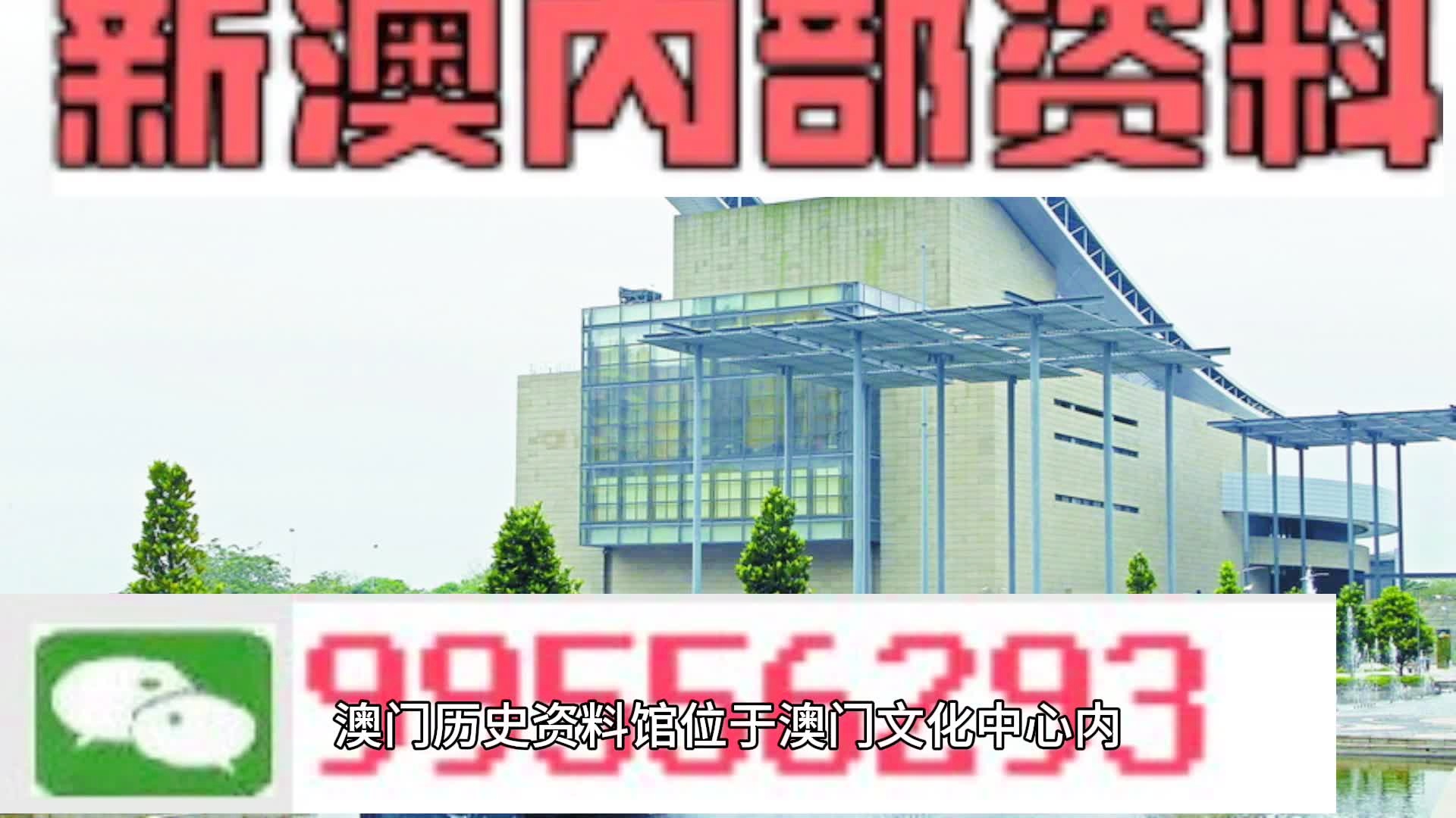 2024新澳门天天开好彩,高度协调策略执行_专业版150.205