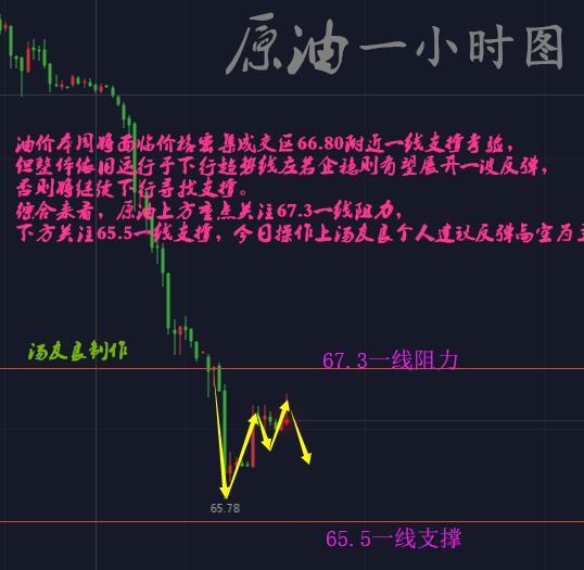 香港今晚开特马,广泛的解释落实支持计划_豪华版180.300