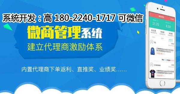 新奥全年免费资料,定制化执行方案分析_豪华版180.300