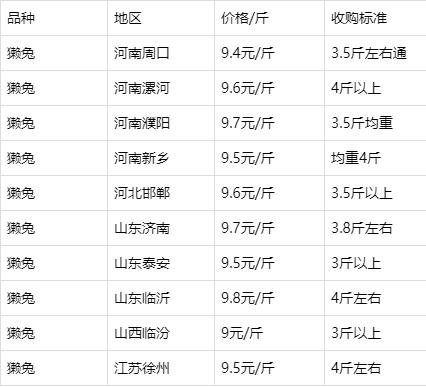 蒙阴兔毛最新价格行情及分析