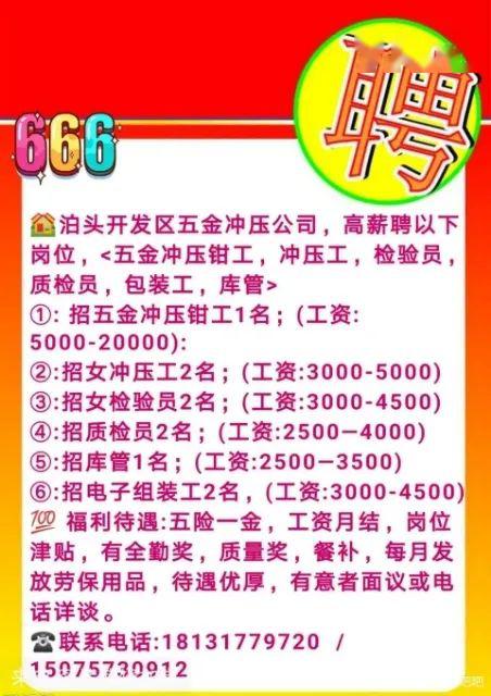 泊头最新西环塑料招工信息详解，招工信息及解读汇总