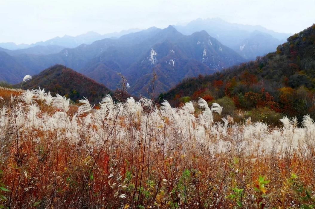 最新秦岭北麓村镇规划，打造自然与人文和谐共生的宜居之地