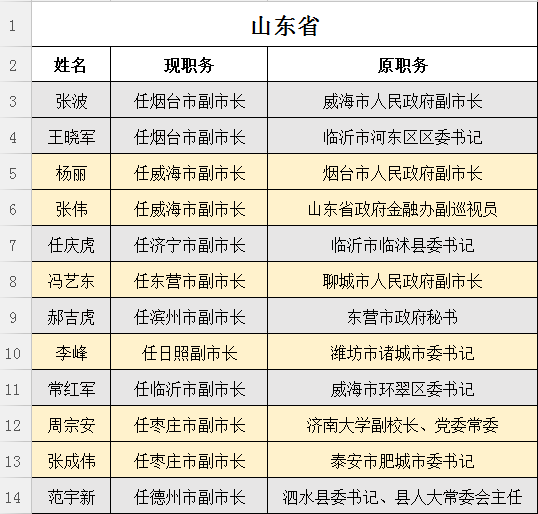 雅安市政府最新任命揭晓，人才重视与发展步伐加快，新时代下的新篇章